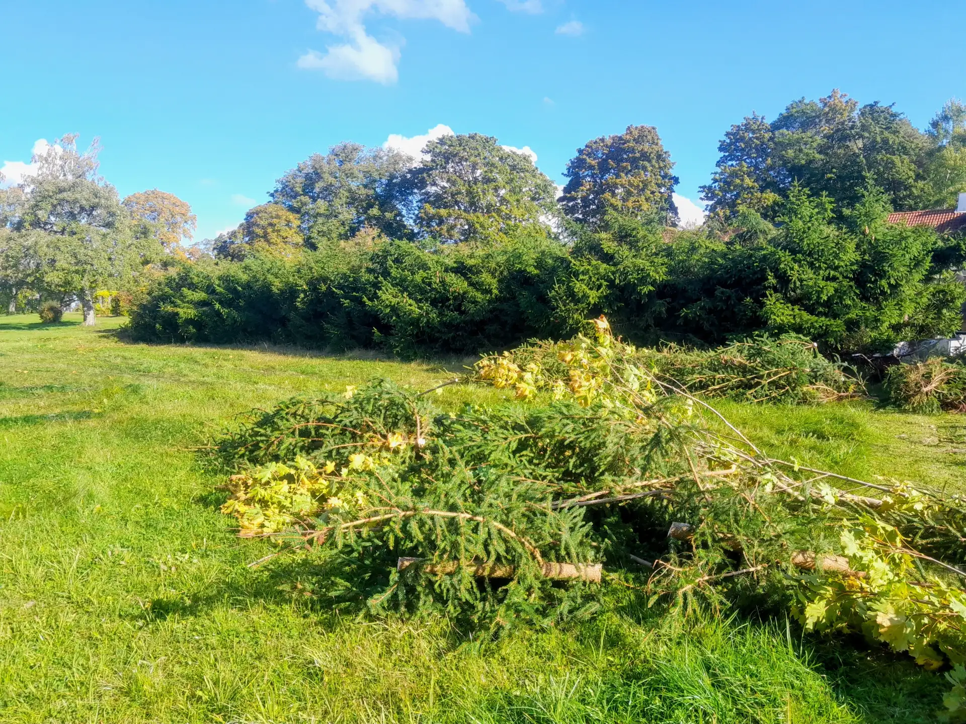 Vacker trädgårdsväg