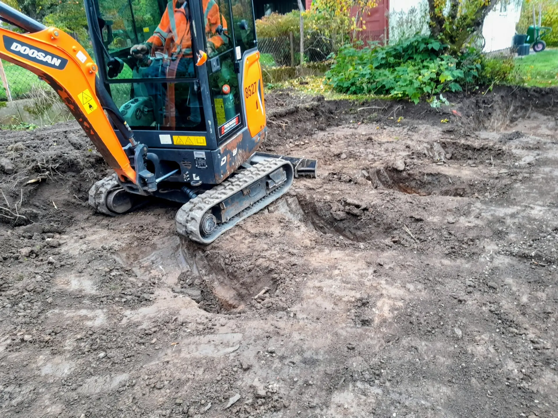 Välskött gräsmatta